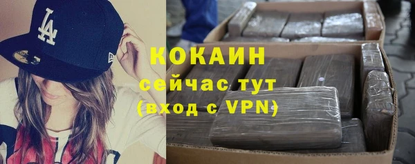 мяу мяу мука Медвежьегорск