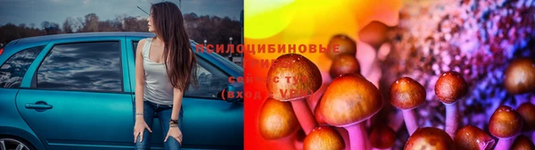 меф Медногорск