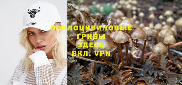 герыч Мегион