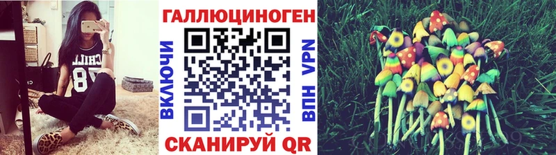 гидра рабочий сайт  Сухой Лог  Галлюциногенные грибы мицелий 