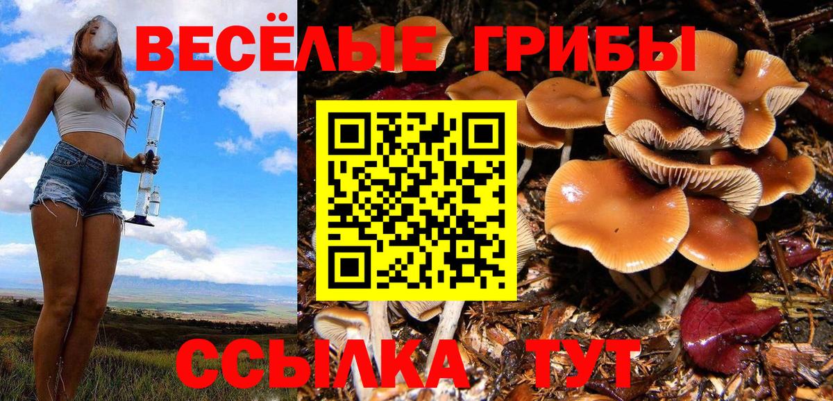 Псилоцибиновые грибы ЛСД  где продают   Сухой Лог  Вход с VPN 
