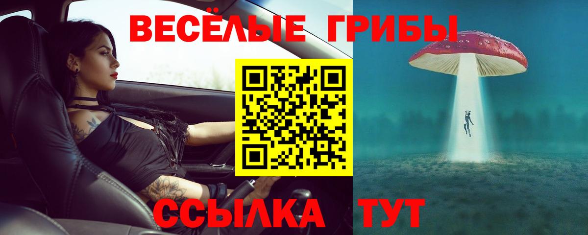 Галлюциногенные грибы мухоморы Сухой Лог